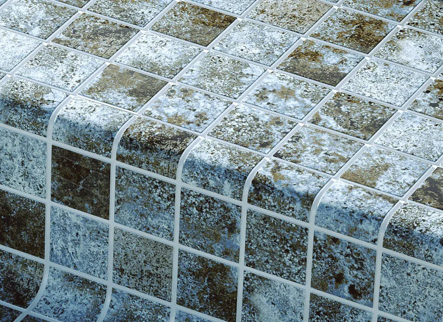Glass Trims