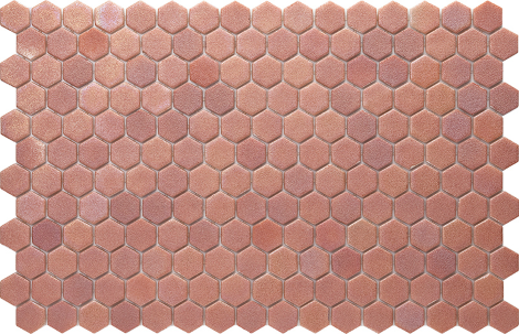 Hexa Sugar Rose