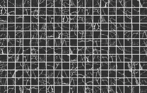 Black Marble