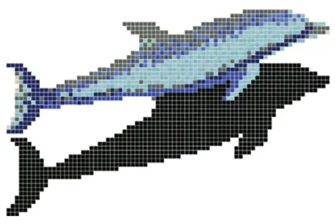 Y 55